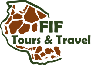 FIF LOGO