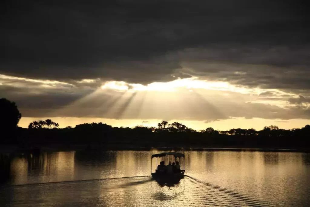 Boat cruising along the Rufiji River in Selous Game Reserve safari, surrounded by hippos, crocodiles, and other wildlife.