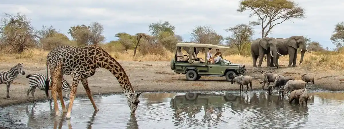 Lake Manyara National Park