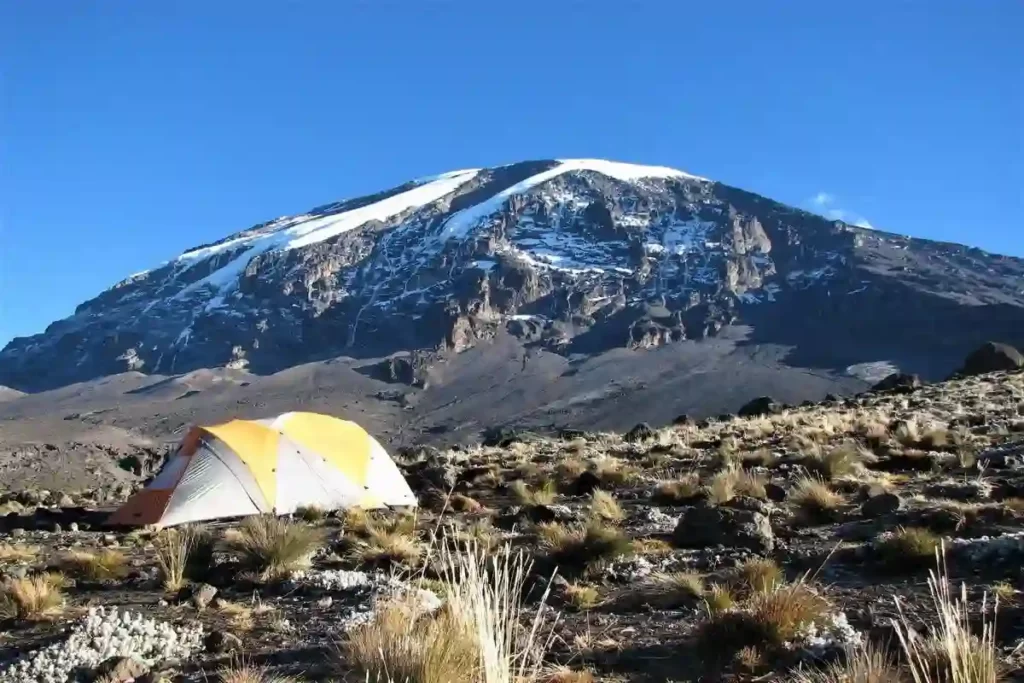 Kilimanjaro Shira Route - Hiker's Tent Amidst Nature