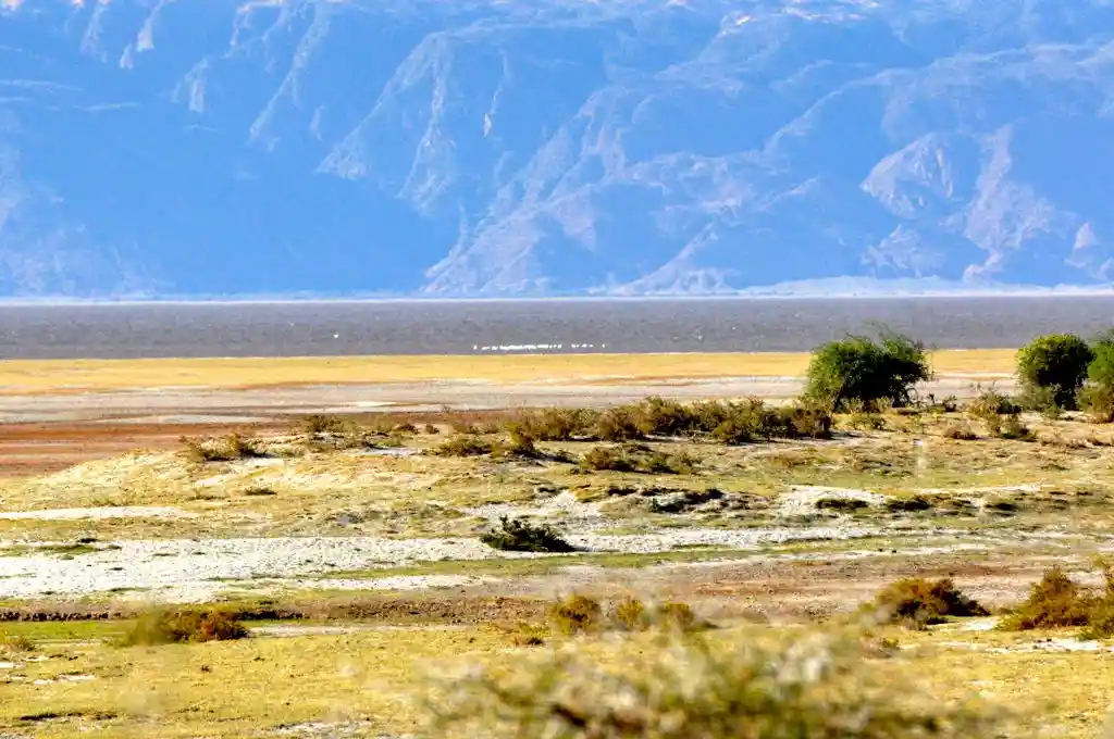 Lake Eyasi