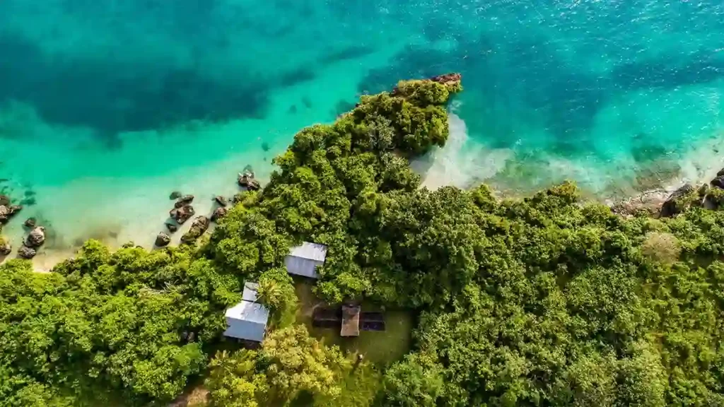 Pristine Beauty of Tanzania's Pemba Island