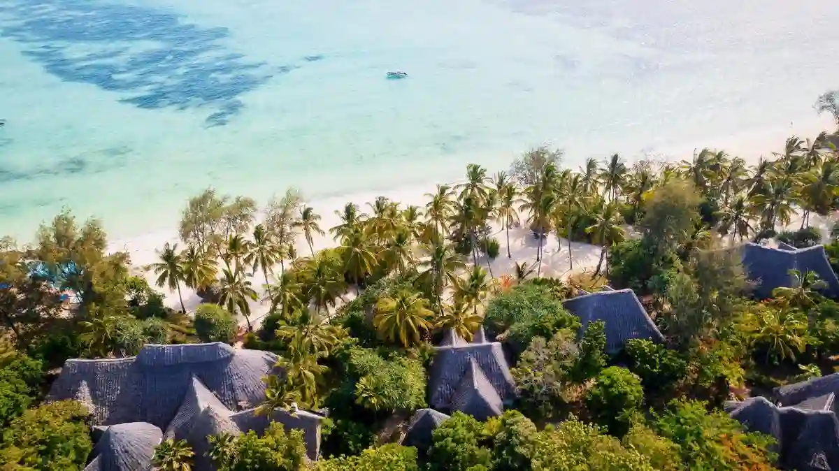 Why Go Zanzibar: Discovering the Allure of Mnemba Island