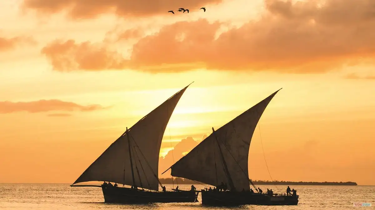 Travel to Zanzibar - Coolest Tour in Zanzibar