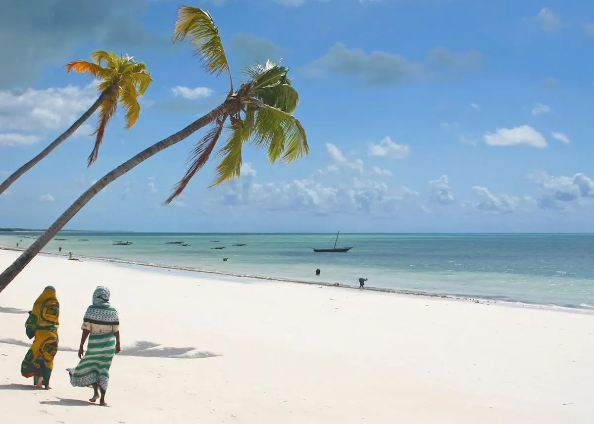 When to Go Zanzibar - Discover the Best Times to Explore Zanzibar Island