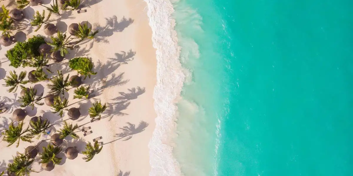 Why Go Zanzibar: Exploring Turquoise Waters and Marine Life