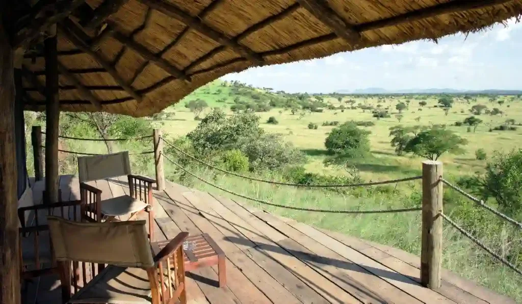 Witness the magic of wildlife in motion with our budget-friendly Serengeti migration tours. This captivating photograph, taken in the heart of Grumeti Hills, encapsulates the essence of the renowned Serengeti Great Migration. Join us for an adventure that combines affordability with the unparalleled beauty of nature.