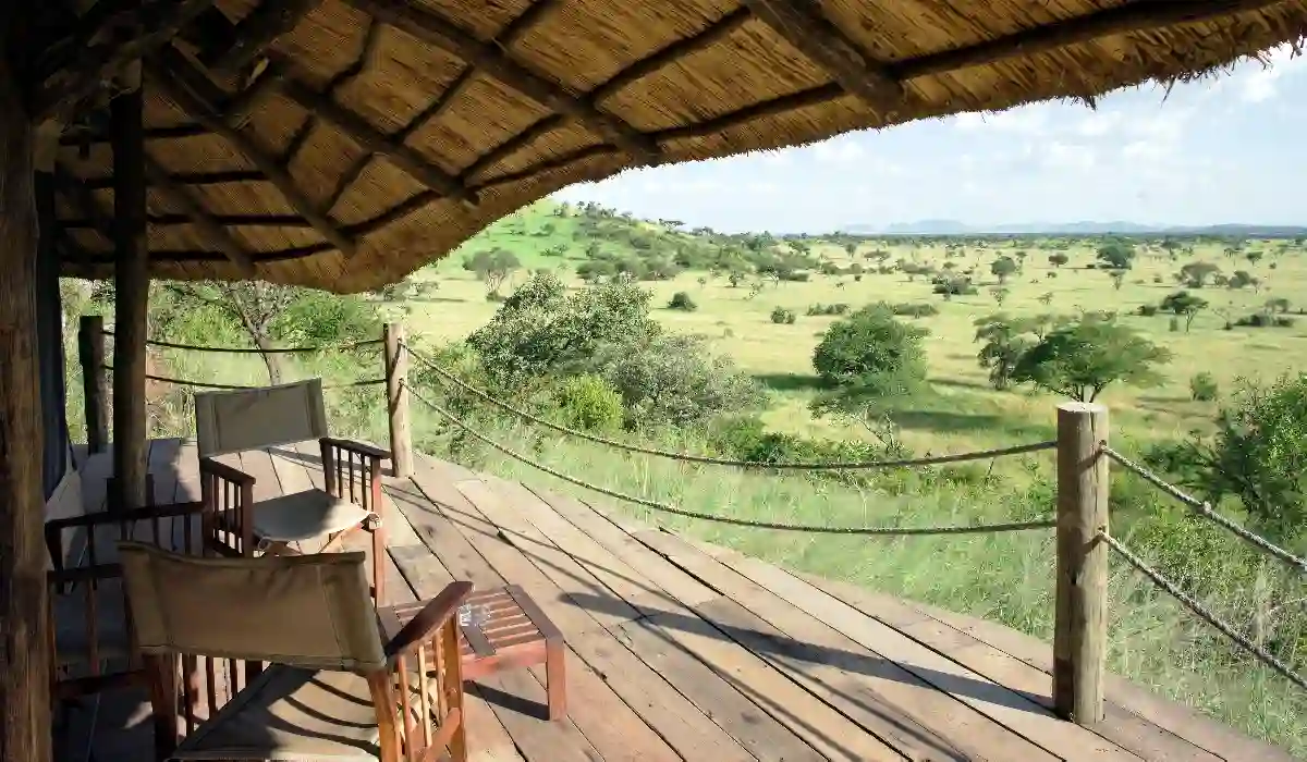 Witness the magic of wildlife in motion with our budget-friendly Serengeti migration tours. This captivating photograph, taken in the heart of Grumeti Hills, encapsulates the essence of the renowned Serengeti Great Migration. Join us for an adventure that combines affordability with the unparalleled beauty of nature.