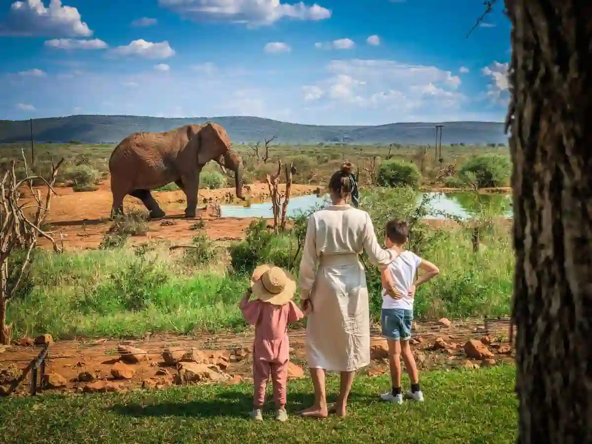 A family on a guided walking safari in Tanzania, observing elephants in the wilderness.