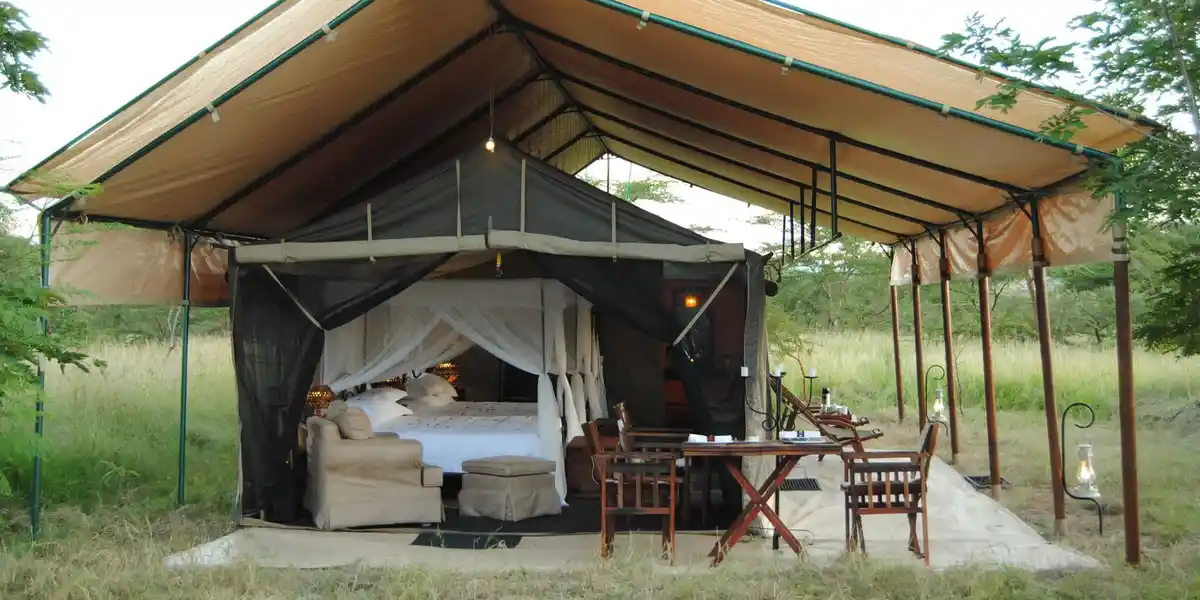Luxuriate in a walking safari experience amidst the bush camps of Serengeti, Tanzania. Unveil the beauty of wildlife with our Luxury Walking Safari in Tanzania, offering an unparalleled blend of comfort and adventure.