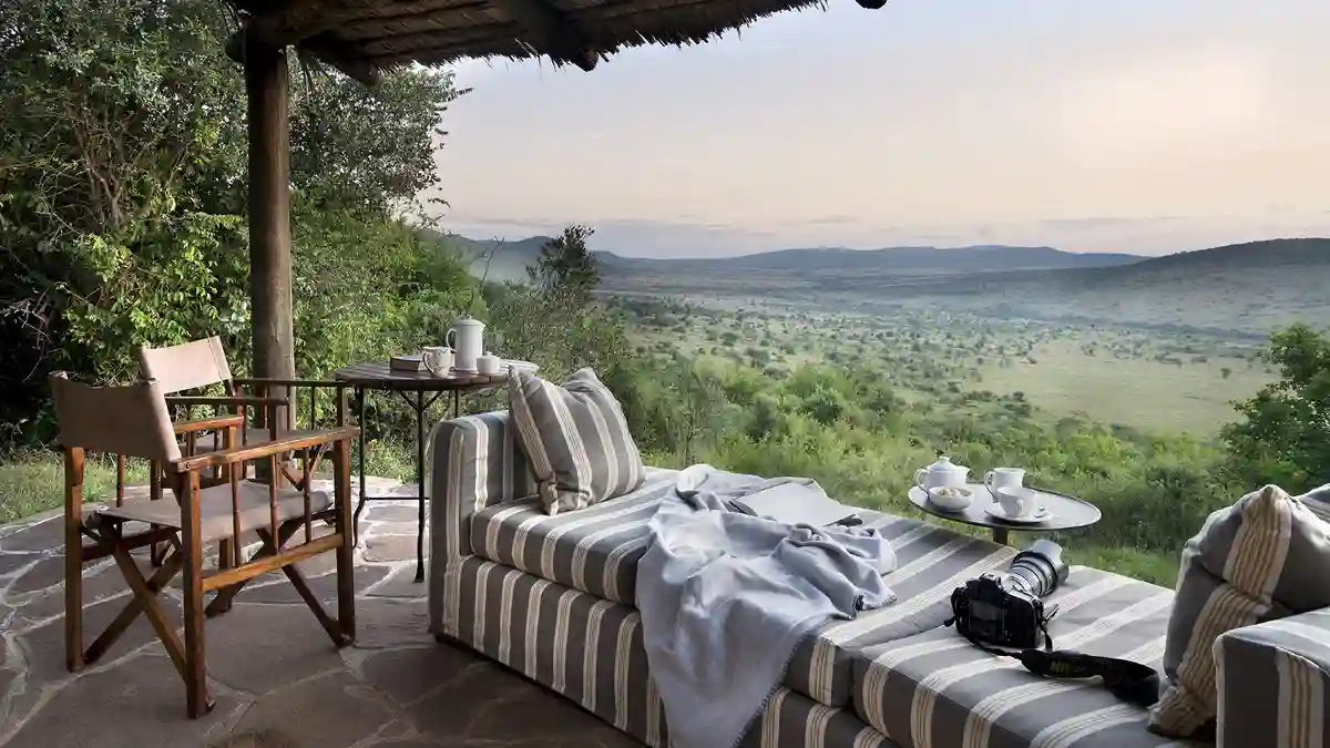 African Safaris - Majestic lion in Tanzania's wilderness