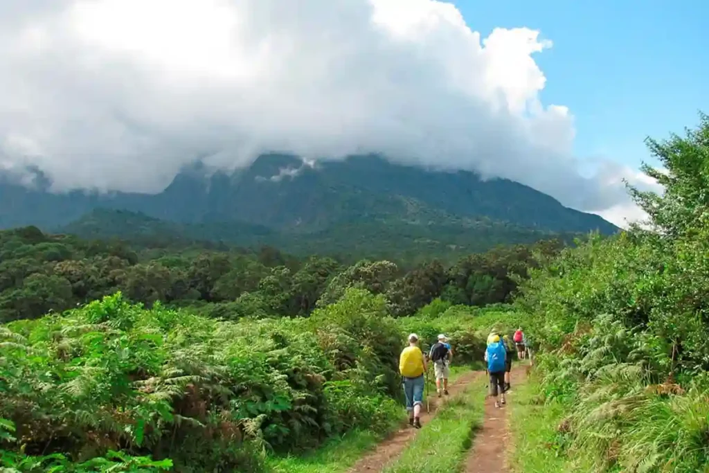 A mesmerizing image capturing the essence of Peak Trekking Season Mount Meru, showcasing the thrill of the journey amidst stunning landscapes.