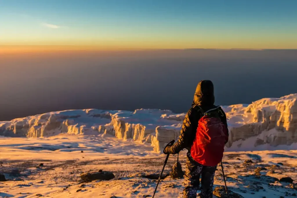 Majestic Encounter: African Safaris - Lion in Tanzania's Wilderness Experienced guides for Kilimanjaro ensuring a safe and memorable journey for adventurers.