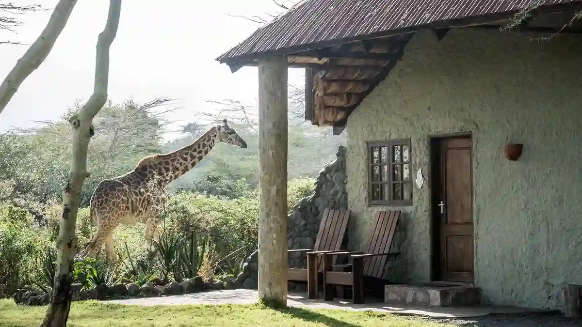 Exterior view of Hatari Lodge, a premier accommodation within Arusha National Park, offering a tranquil retreat amidst nature's beauty.