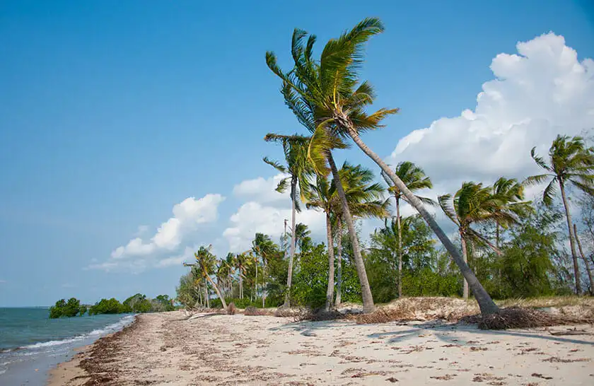Saadani National Park guided tours offer a peaceful view of elephants at the water's edge.