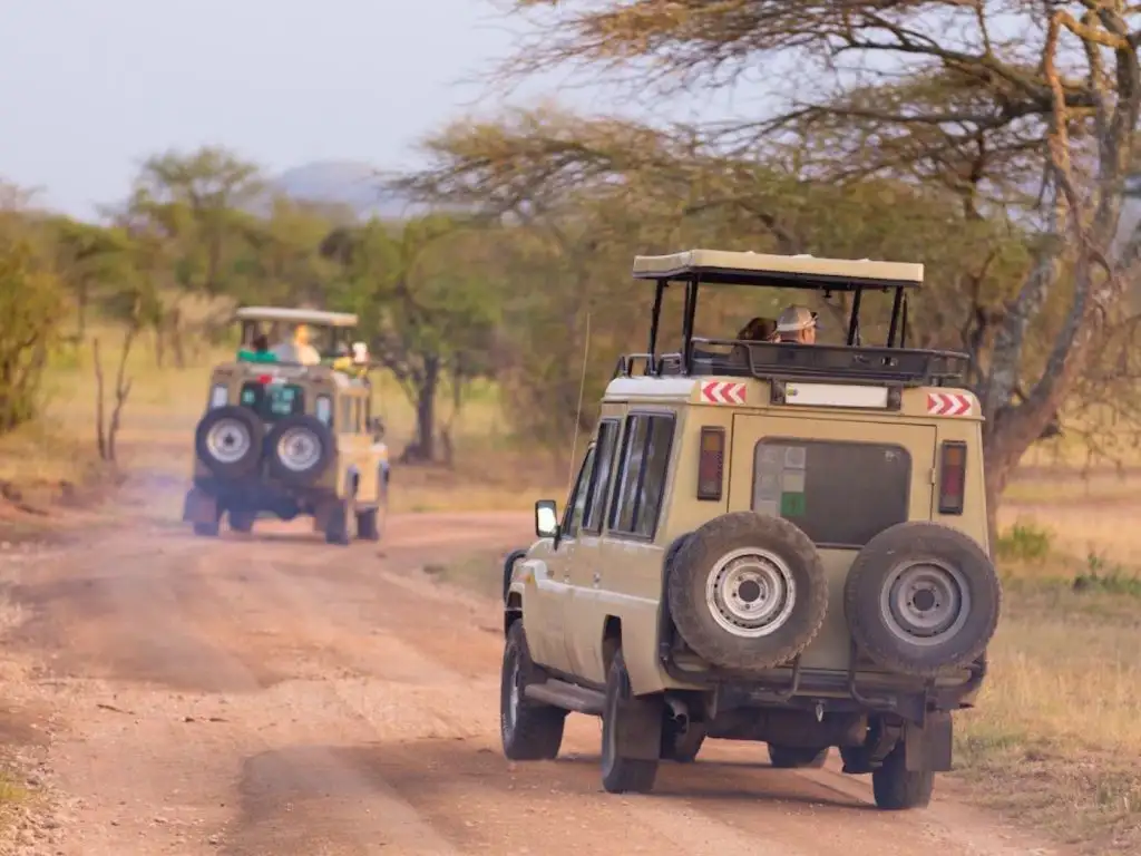 African safari vehicle on a Serengeti game drive, showcasing the majestic wildlife of Tanzania