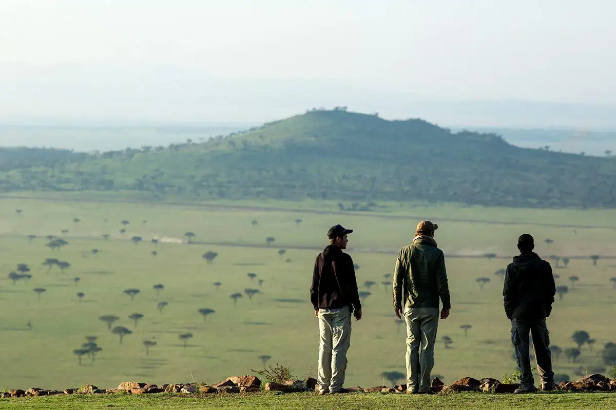 Guided walking safari in Tanzania: A group of adventurers trekking across the Serengeti Plain, surrounded by grazing wildebeest herds.
