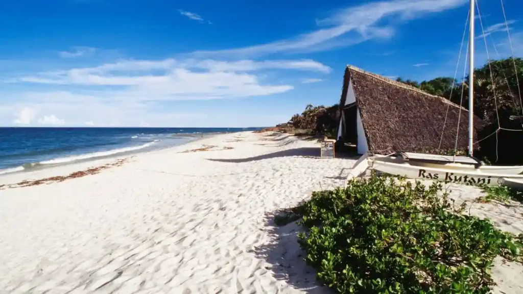 A stunning view of Tanzania's coastline, showcasing its hidden beauty. Follow our Tanzania Beach Travel Tips to make the most of your coastal adventure.