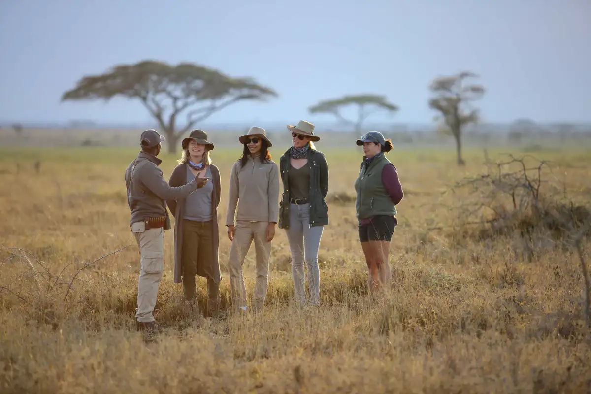 Luxury Walking Safari in Tanzania: Experience the beauty of Tanzania's wilderness with our exclusive walking safari accommodations.