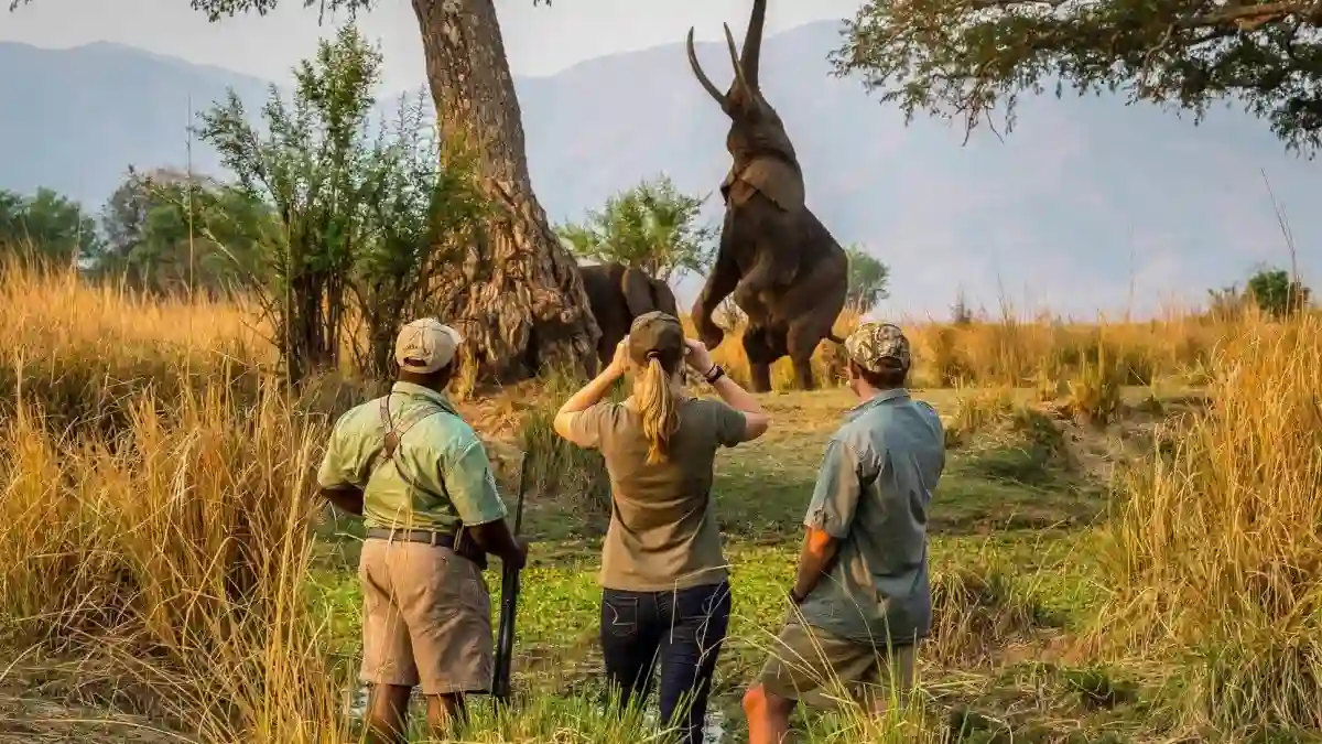 Tanzania safari tours on foot: Walking safari in Tarangire National Park, Tanzania.