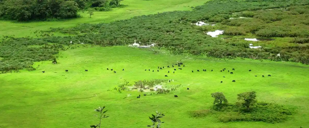 Arusha National Park travel advice: A stunning view of Arusha National Park Plains, providing essential guidance for your unforgettable journey into nature's embrace.