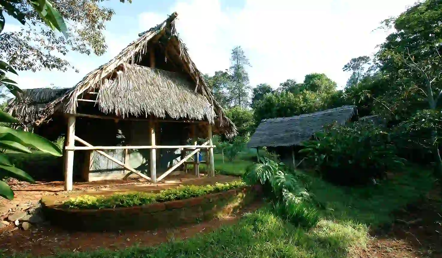 Immerse yourself in the serene beauty of Amani Forest Camp, nestled amidst the lush landscapes of the Usambara Mountains, offering unparalleled accommodation experiences.