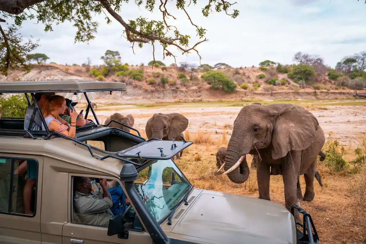 A group of tourists gathered around a safari guide, discussing the timing for their Tanzania high season safari.