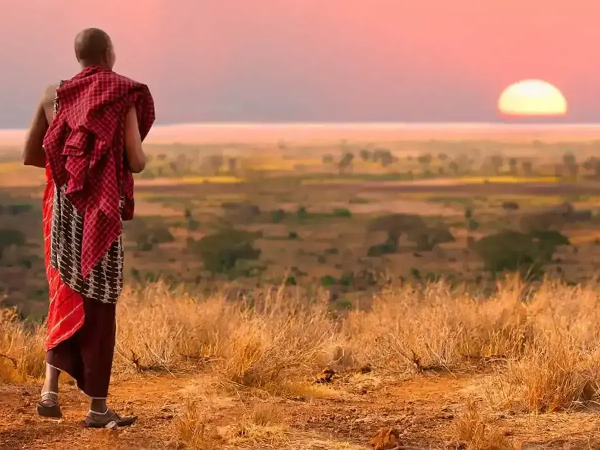 Majestic Encounter: African Safaris - Lion in Tanzania's Wilderness Serengeti Wilderness Camp Accommodation: A group of people interacting with local culture in the vast Serengeti wilderness.