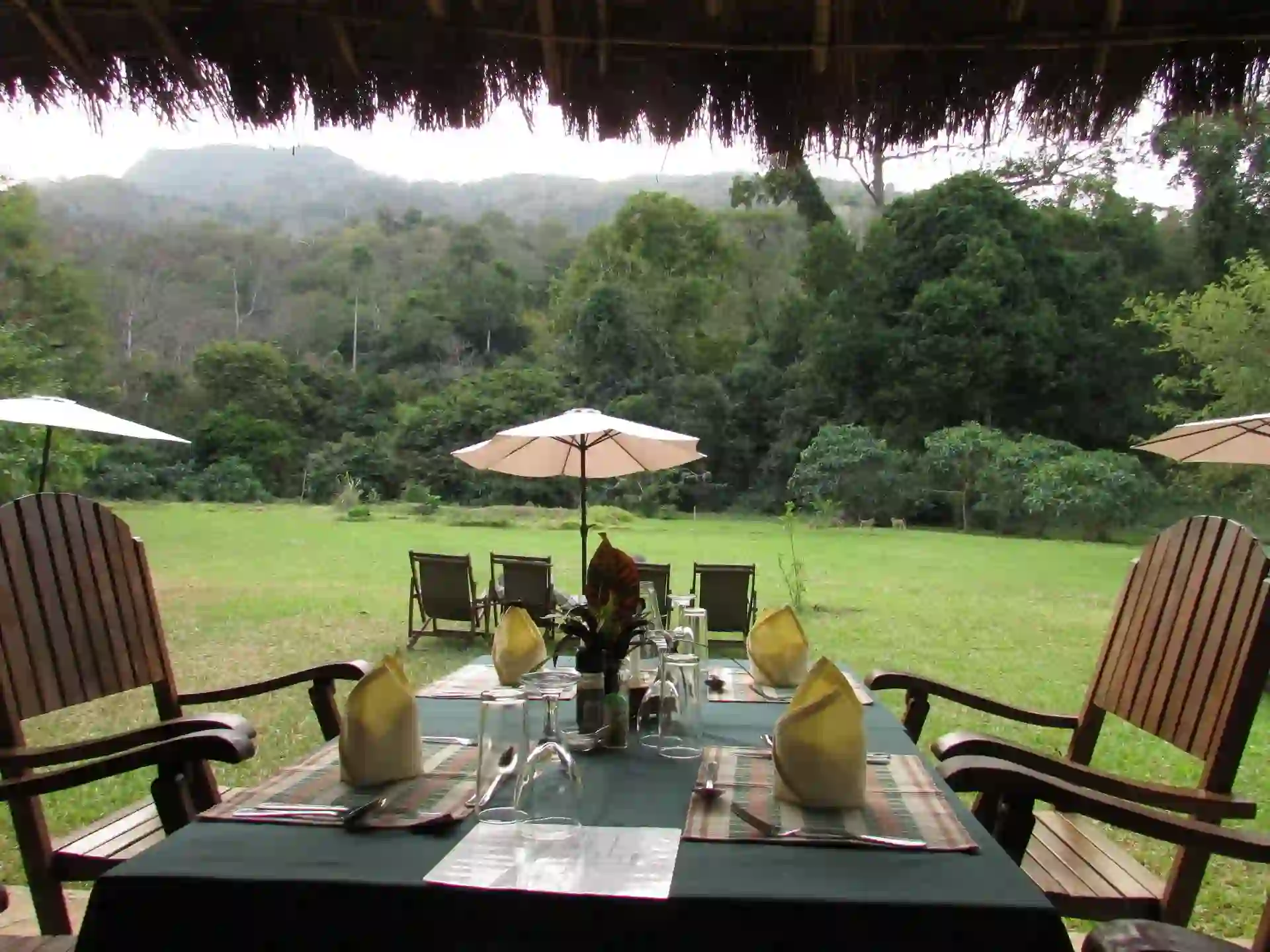 A serene scene of Hondo Hondo Capy Bar and Restaurant, offering relaxation amidst the beauty of Udzungwa Mountains Accommodation.