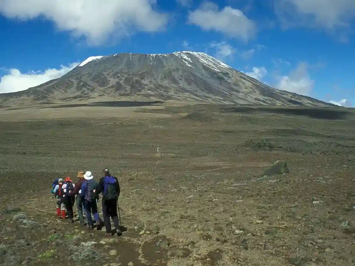 Hikers at the line, marveling at Mount Kilimanjaro Facts