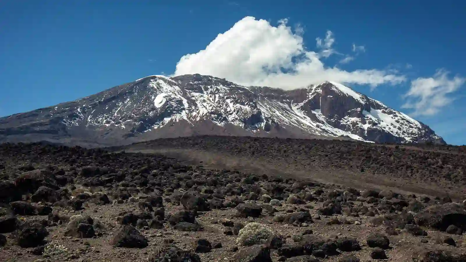 A breathtaking view of Kilimanjaro, the highest mountain in Africa - Keyword: "Mount Kilimanjaro Facts