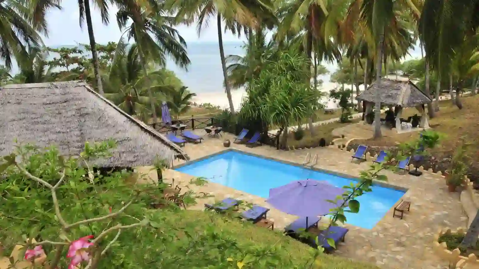 Seaview accommodations on Mafia Island: Serene room with a view of the ocean at Kinasi Lodge.