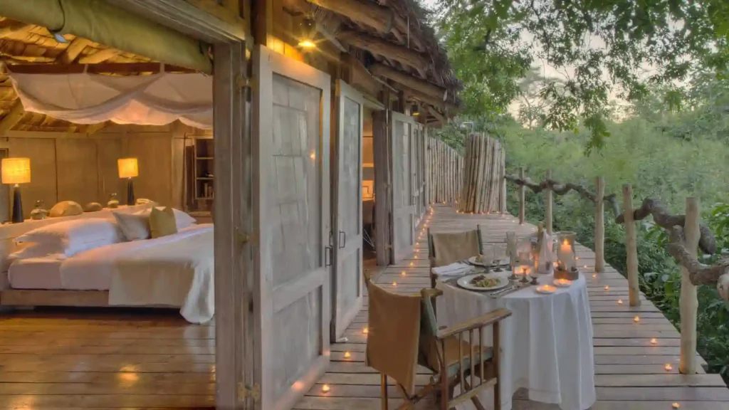 Majestic Encounter: African Safaris - Lion in Tanzania's Wilderness Lake Manyara Tree Lodge accommodation surrounded by lush trees and serene atmosphere.