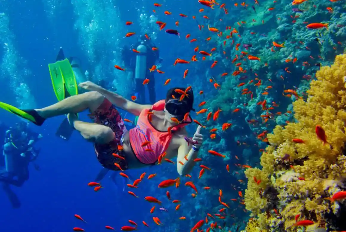 A breathtaking view of the crystal-clear waters and lush greenery at Mafia Island Marine Park, Tanzania. Why go to Mafia Island - Mafia Island, Tanzania