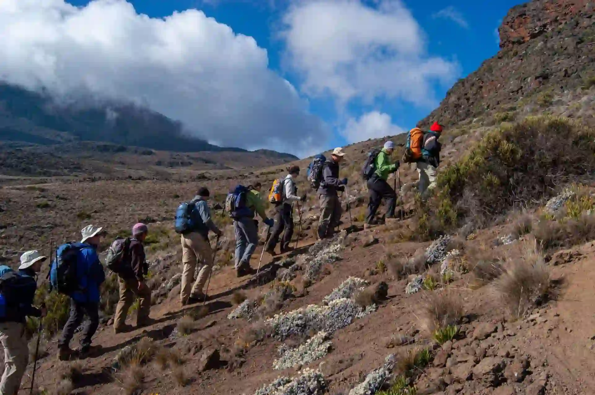 A team of hikers in rows ascending Mount Kilimanjaro, showcasing Mount Kilimanjaro Facts