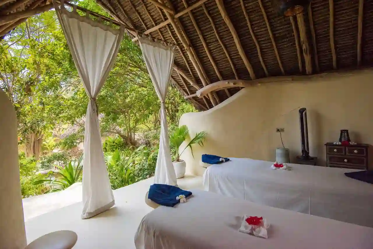 Serene landscape near Jozan Chwaka Bay Accommodation, offering a glimpse into nature's beauty.