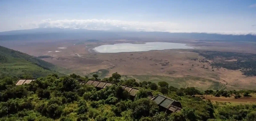 Majestic Encounter: African Safaris - Lion in Tanzania's Wilderness A breathtaking sunset over Ngorongoro Serena Lodge Accommodation, nestled amidst lush greenery and overlooking the vast savannah.