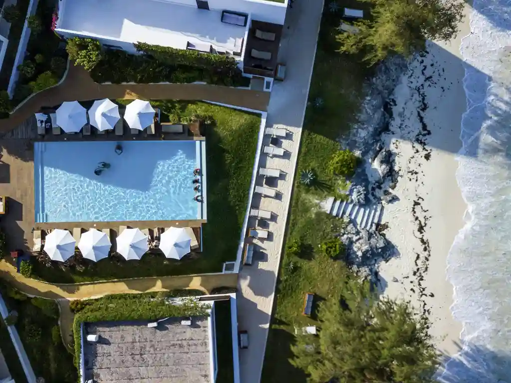 Nungwi Beach Accommodation: A serene view of palm trees and clear blue waters captured by FIF Tours.