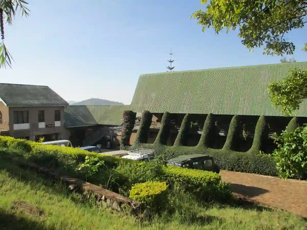 Step into the serene ambiance of St. Eugene's Lodge, nestled amidst the enchanting landscapes of the Usambara Mountains, offering unparalleled accommodations for your getaway.