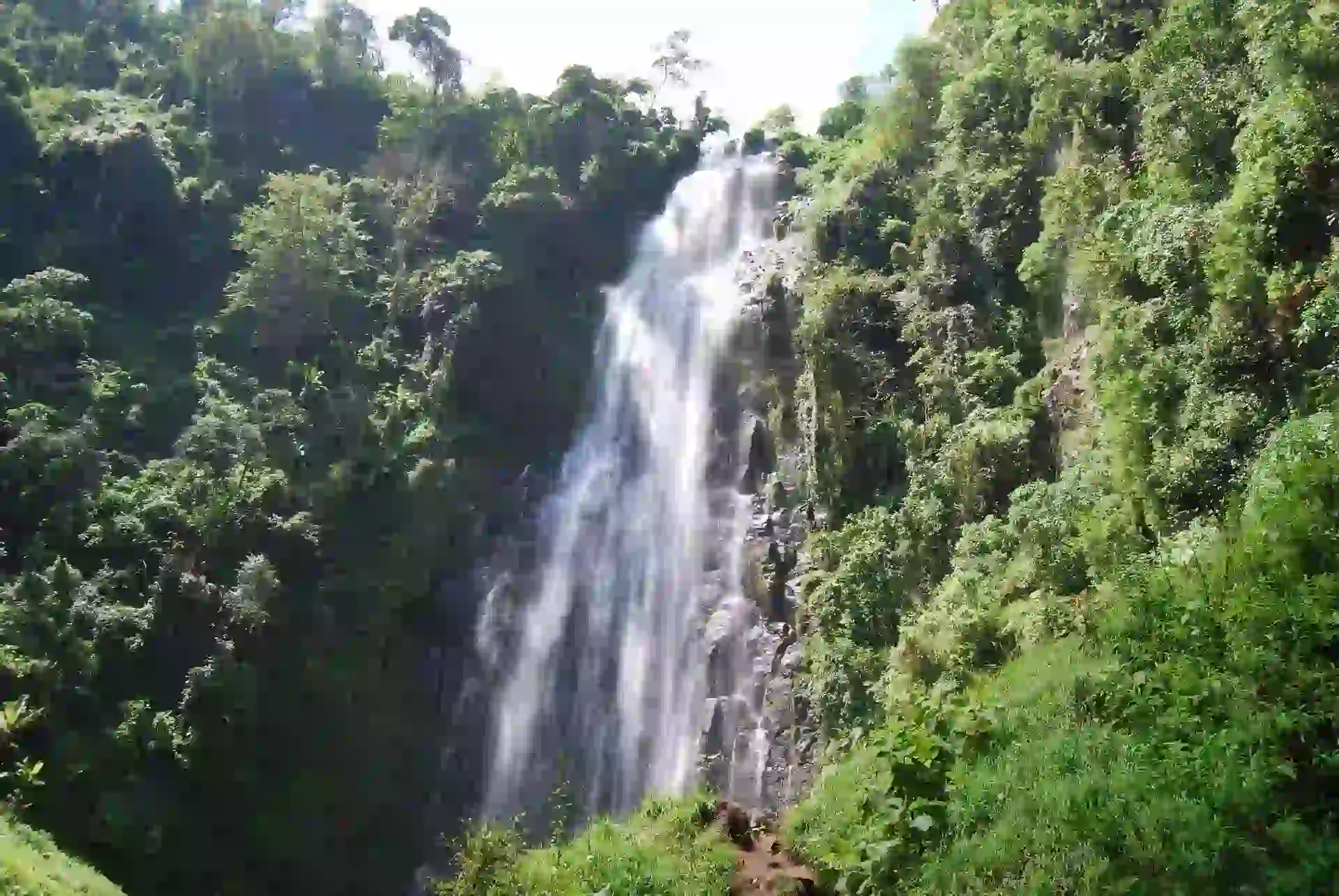 Majestic Materuni Waterfalls, a must-see on Tanzania day trips, surrounded by vibrant greenery and flowing waters.