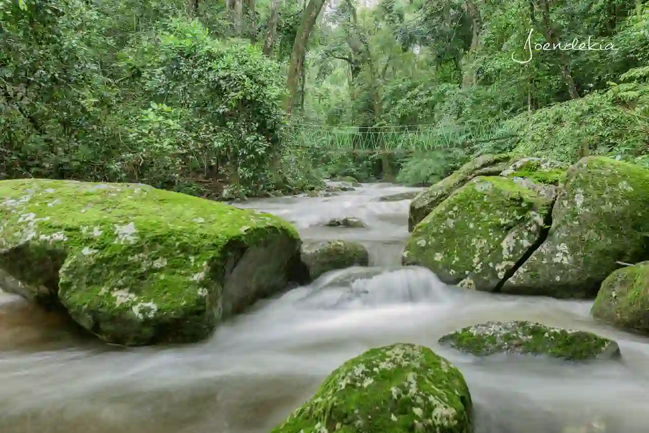 A captivating view of Sanje Waterfalls amidst the verdant landscape of Udzungwa National Park, embodying the essence of Udzungwa Mountains travel tips.