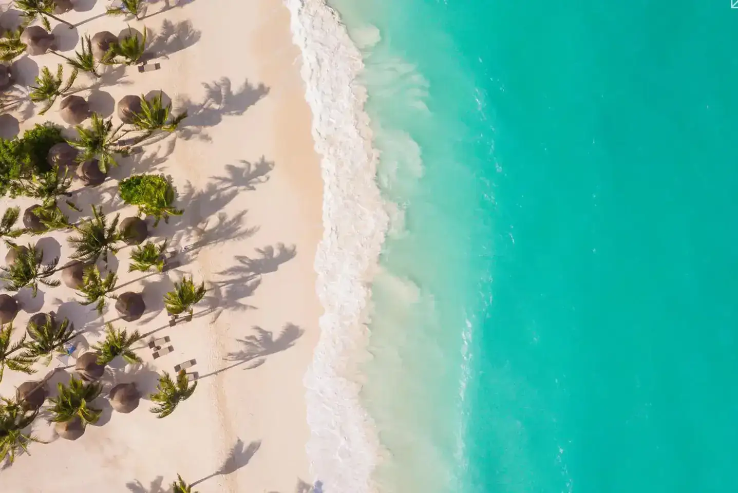 Majestic Encounter: African Safaris - Lion in Tanzania's Wilderness A drone captures the breathtaking scenery of Zuri Zanzibar Accommodation nestled amidst lush greenery and azure waters.