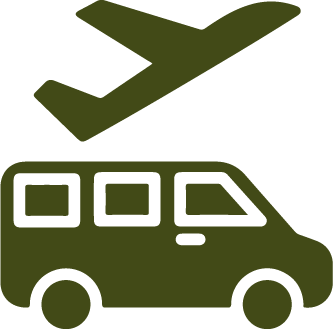 Majestic Encounter: African Safaris - Lion in Tanzania's Wilderness shuttle