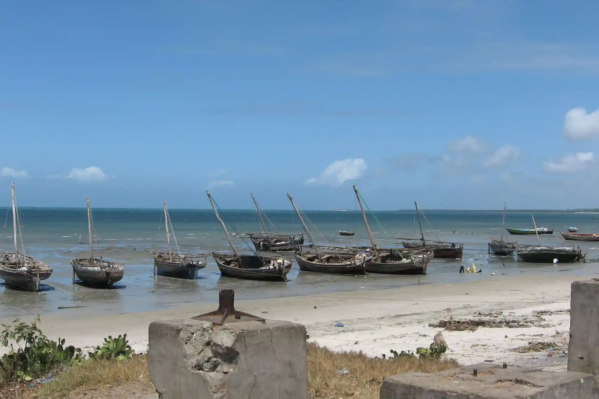 Experience Bagamoyo through the serene fishing scene at Bagamoyo Haven.