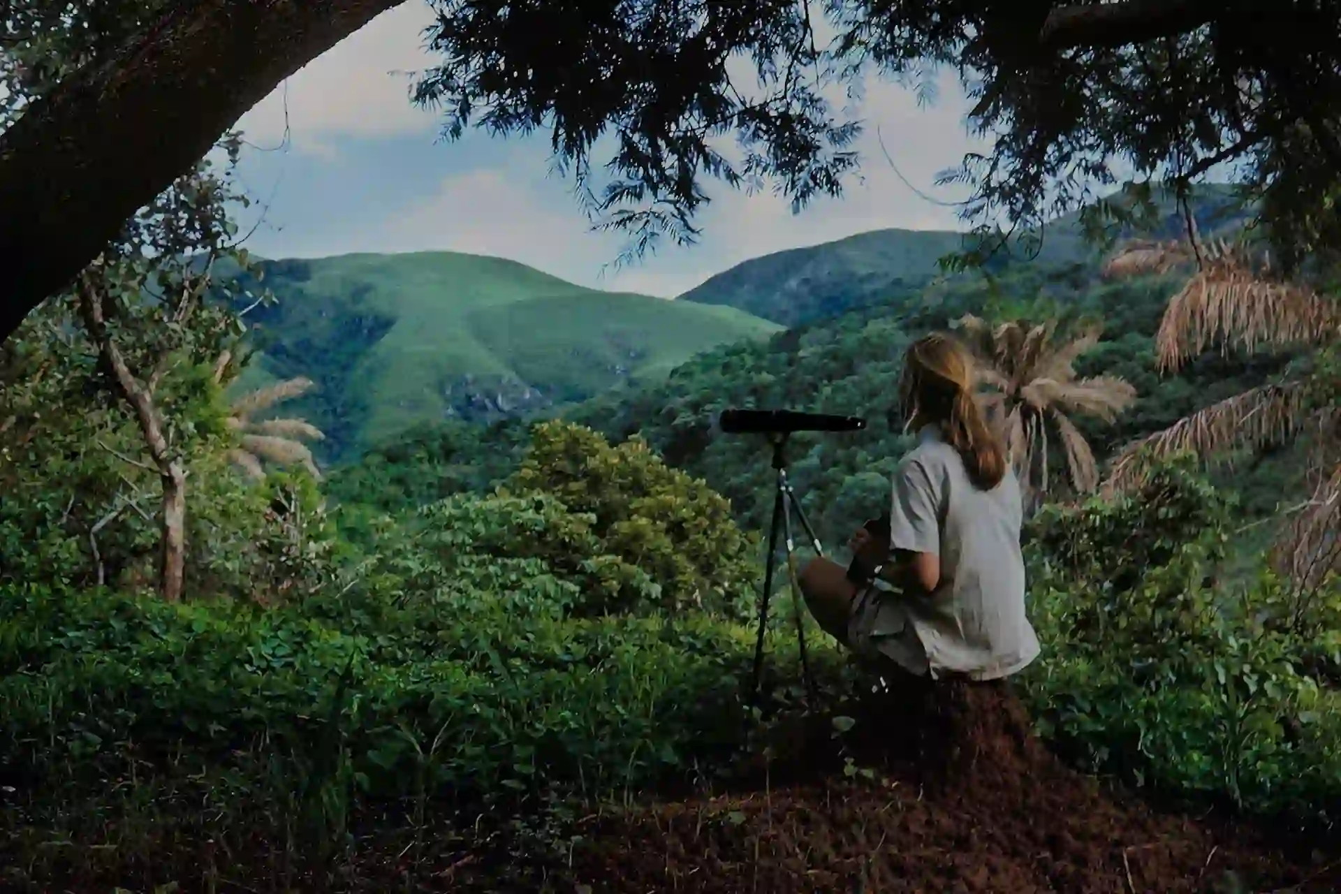 Captivating scenery of Gombe Stream National Park, enticing travelers to visit and explore its wonders. Why to visit Gombe Stream National Park.