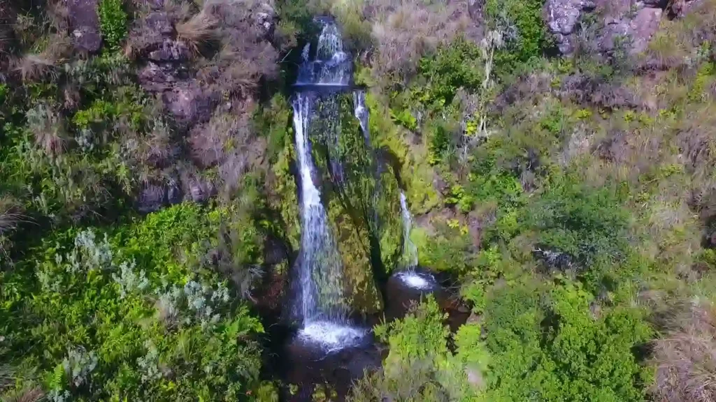 A mesmerizing view of waterfalls in Kitulo National Park, surrounded by lush greenery and vibrant flora.