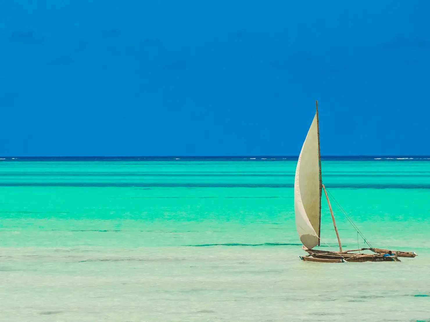 A serene beach scene in Zanzibar Island, ideal for experiencing its beaches and safaris.