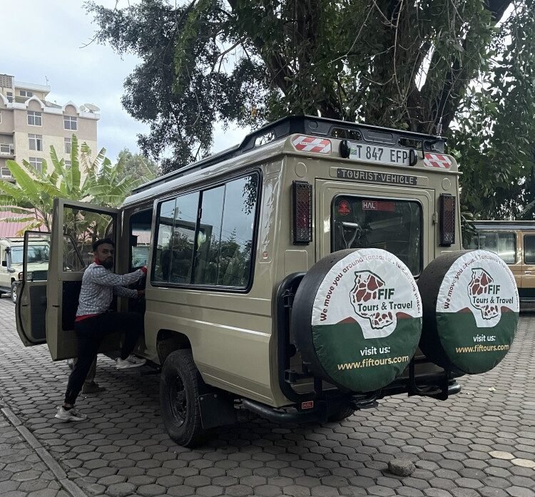 Zanzibar to Safari
