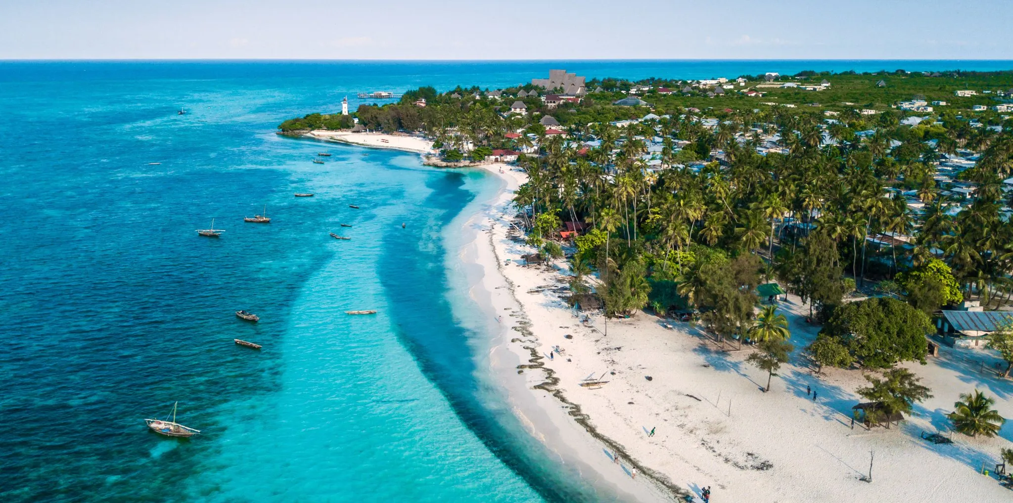 Zanzibar to Safari