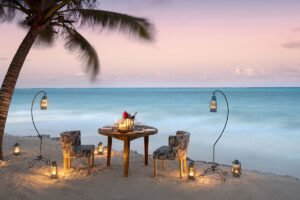 romantic honeymoon safari in mikumi national park